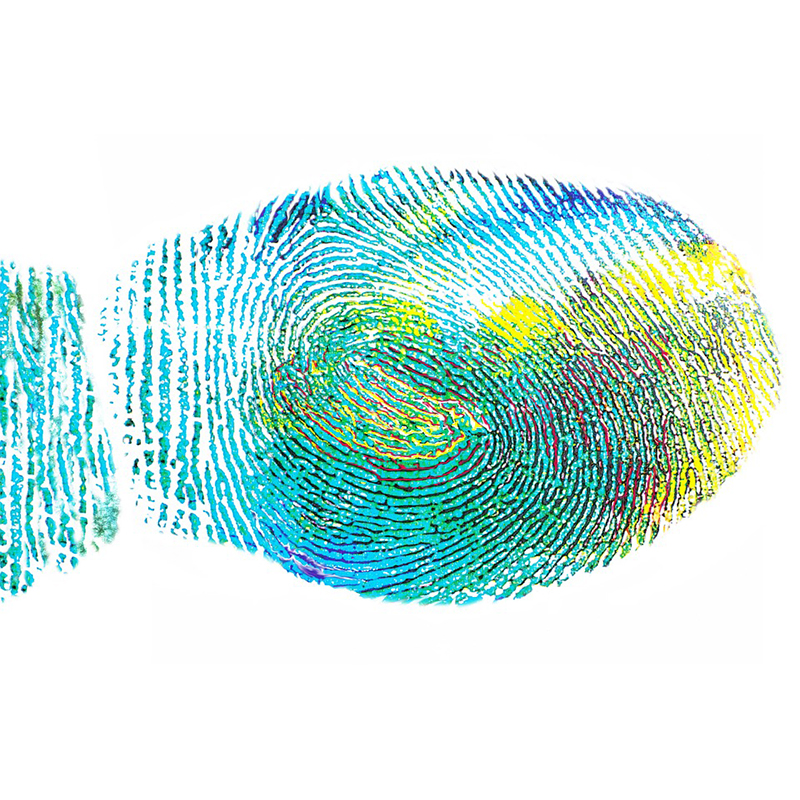 your identity